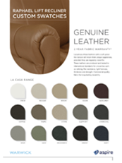 Aspire Raphael定制色板