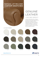 Aspire Raphael定制色板